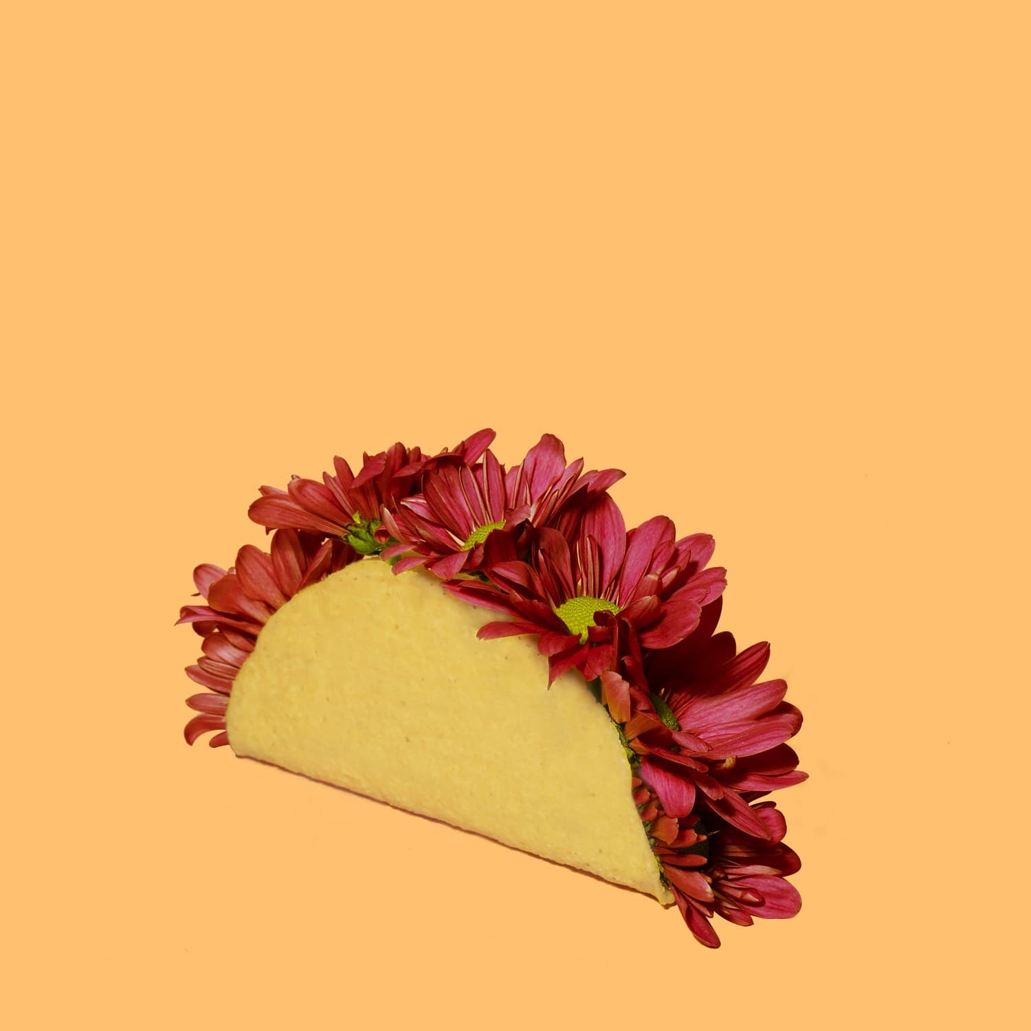 Flower Taco