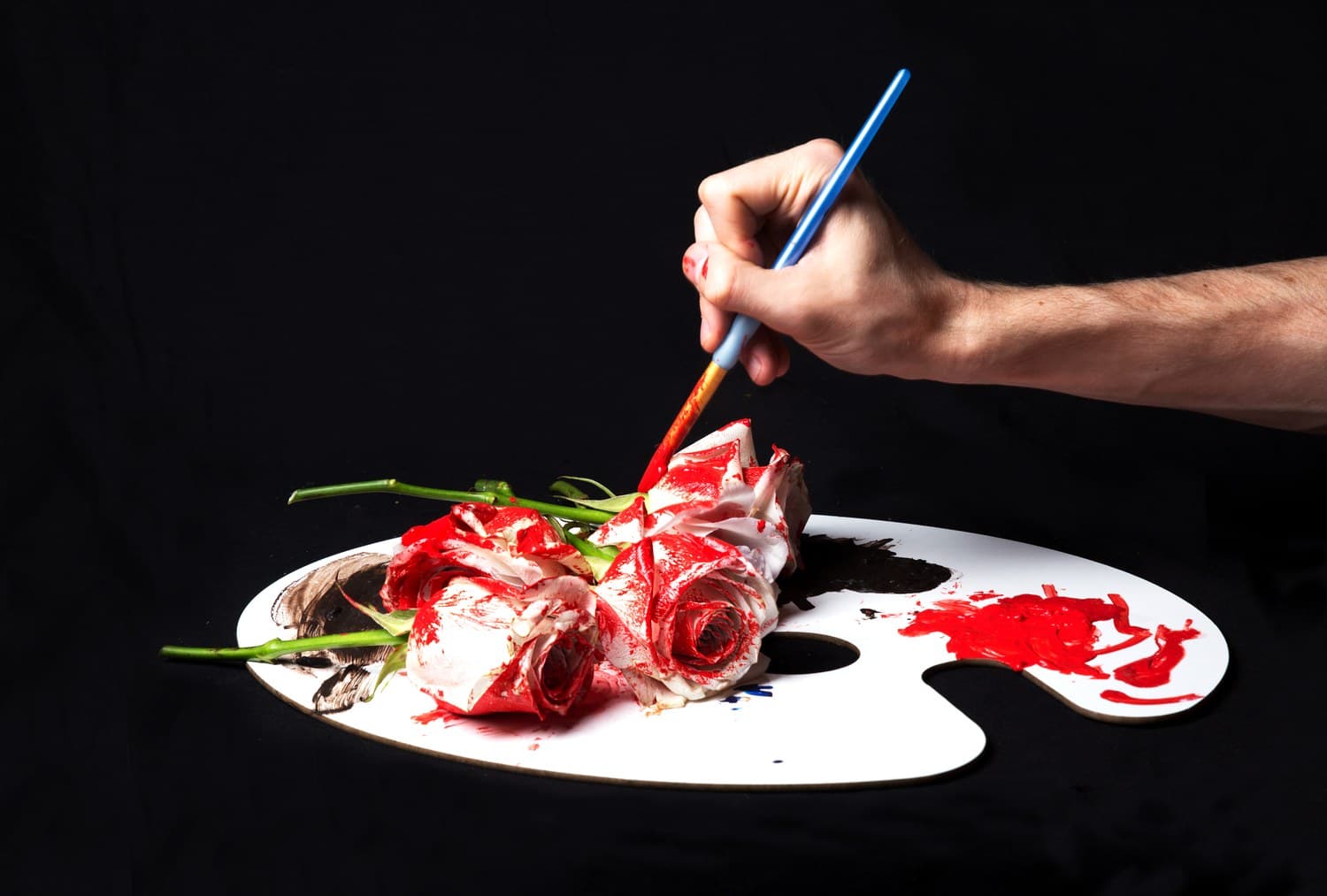 Sear Flowers